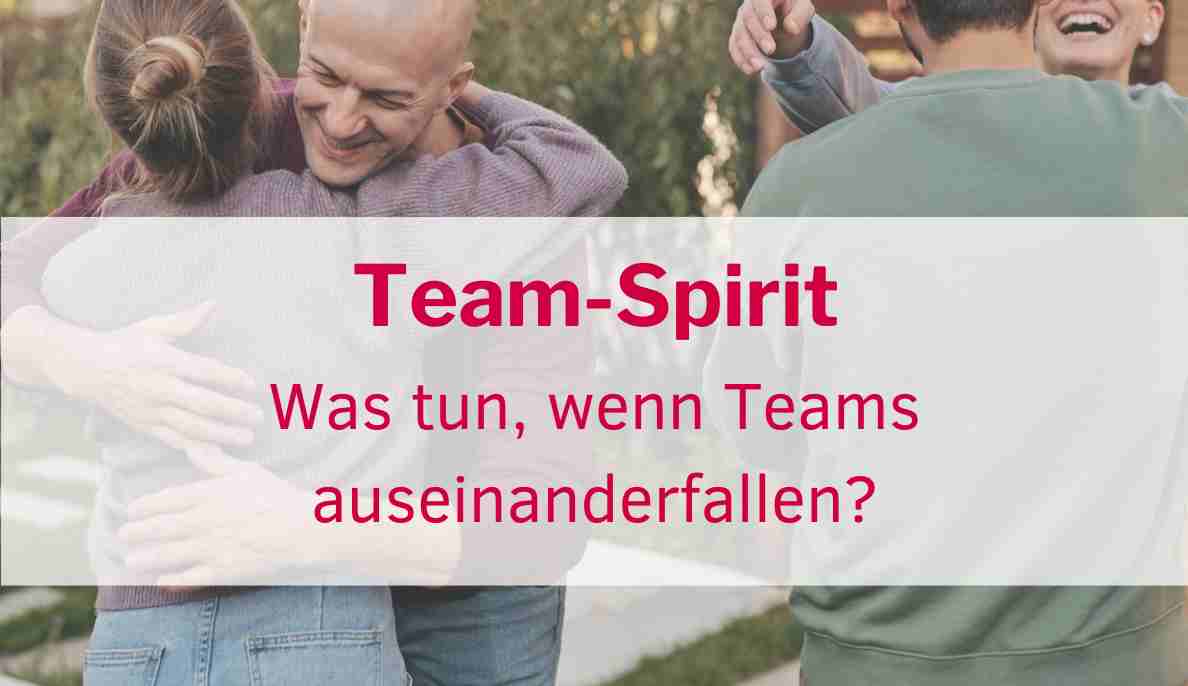 Was tun, wenn Teams auseinanderfallen? Wir haben das wieder hingekriegt.
